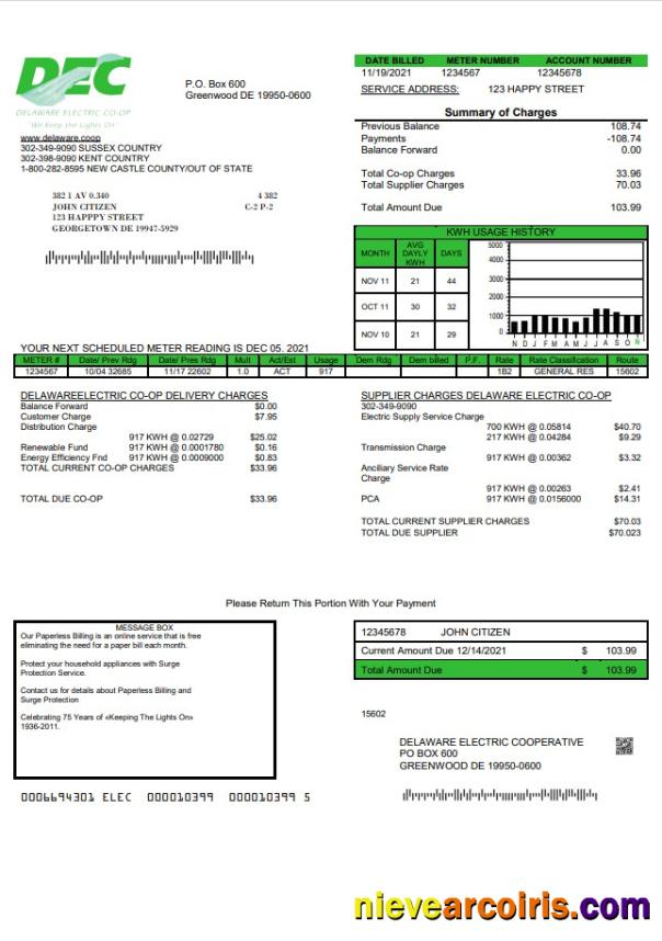 USA Delaware Electric Co-op utility bill